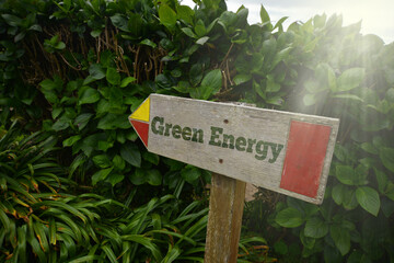 vintage old wooden signboard with text green energy near the green plants.