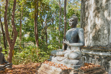 Fototapeta na wymiar Phayao, Thailand - Nov 29, 2020: Zoom View Buddha Statue Giving The First Sermon on Forest Background in Wat Analayo Thai Temple