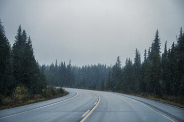 Road trip on highway with blizzard in coniferous forest at Banff national park