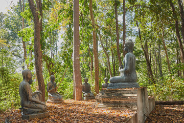 Fototapeta na wymiar Phayao, Thailand - Nov 29, 2020: Buddha Statue Giving The First Sermon with 5 Disciples of The Buddha on Forest Background in Wat Analayo Thai Temple