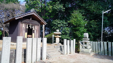 Fototapeta premium 縣主神社