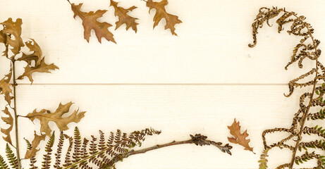 Visuel hiver avec zone pour votre texte, fougère sèche feuille morte et branche sur fond bois blanc. Disposition à plat, vue de dessus.