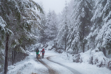 Fototapeta na wymiar hiking in the mountains during winter day