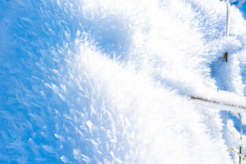 Macro photography of snow. Icy crystal forest in the sun