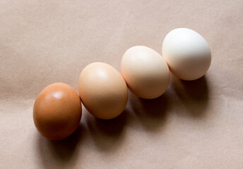 Row of Natural organic eggs  with different shades against background