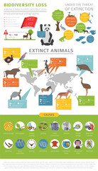 Global environmental problems. Biodiversiry loss infographic. Extinct animal and birds