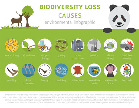 Global environmental problems. Biodiversiry loss infographic. Plants and animals destruction. Vector illustration