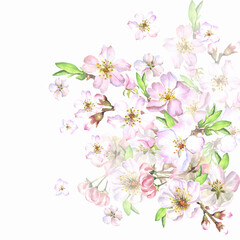 Obraz na płótnie Canvas watercolor cherry blossom branch