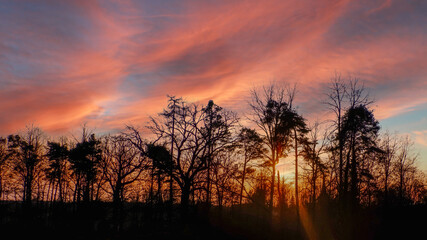 Fototapeta na wymiar Baumgruppe im Sonnenuntergang