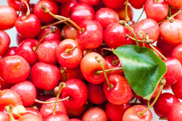  Sweet cherries with stems