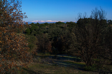 krajobraz góry drzewa szczyty niebo błękit