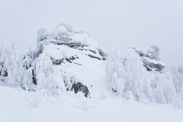 Fototapeta na wymiar huge snow-covered rock and frost-covered trees on a mountain pass in winter