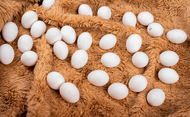  Random eggs placed on a fluffy cloth