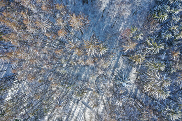 View straight down to the snow-covered forest tops in the Taunus / Germany