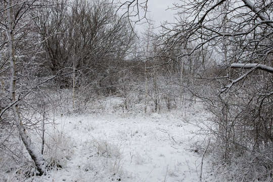 Snowy landscape pictures from Malmö Skåne Sweden