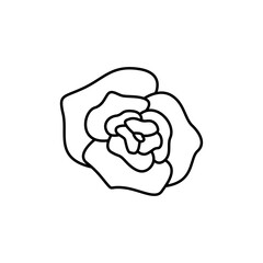 Rose flower line icon