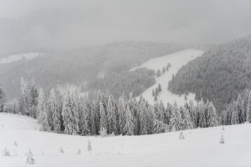 Herzogenhorn im Schwarzwald