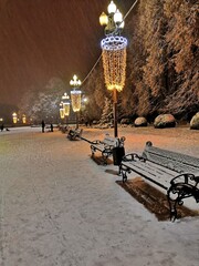 bench in the park