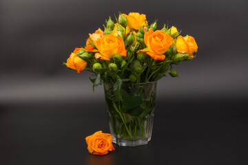 Beautifull orange roses isolated on black background. Copy space