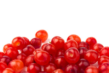 Nanking or felted cherry fruits, isolated on  white background