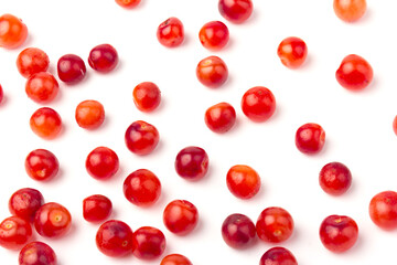 Nanking or felted cherry fruits, isolated on  white background