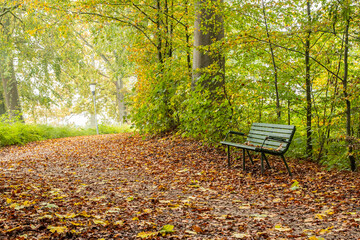 Bench in autumn forest