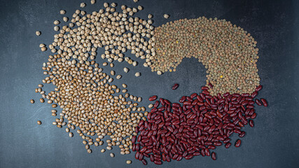 Several types of dried legumes on a concrete background