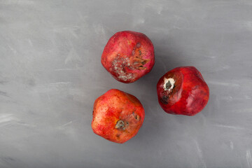 Three pomegranates with mold. Concept - reduction of organic food waste. Rotten fruits on gray...