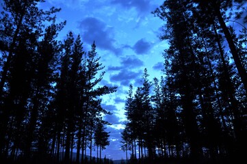 Obraz premium Cloudy