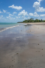 Beaches of Brazil - Peroba Beach, Maragogi - Alagoas State