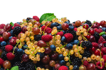 Fototapeta na wymiar Gooseberries, blueberries, mulberry, raspberries, white and red currants isolated