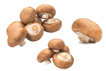 Tasty mushroom isolated on white background.
