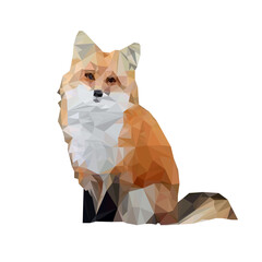 Fox Low Poly