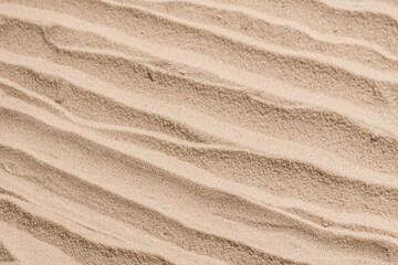 Sand texture closeup. Sand backgound.
