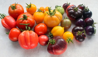 Multicolored tomatoes close-up selective focus.