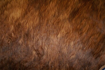 Animal Skin - Texture
