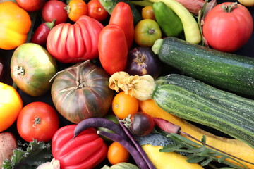 Fresh farm assorted vegetables close up selective focus.