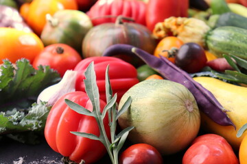 Fresh farm assorted vegetables close up selective focus.
