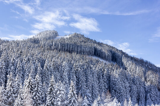 The Rittisberg mountain with snow covered trees and fair weather during winter in Ramsau am Dachstein  (Liezen, Austria)