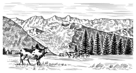 Rural meadow. A village landscape with cows, hills and a farm. Sunny scenic country view. Hand drawn engraved sketch. Vintage rustic banner for wooden sign or badge or label.
