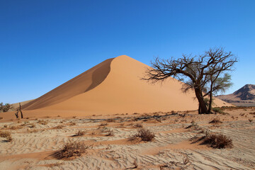 Dune 45 in Sossusvlei Namib Desert - Namib-Naukluft National Park, Namibia, Africa