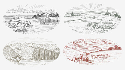 Rural meadow set. A village landscape with sheep, hills and a farm. Sunny scenic country view. Hand drawn engraved sketch. Vintage rustic banner for wooden sign or badge or label.