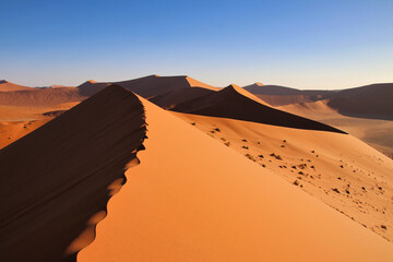 Dune 45 in Sossusvlei Namib Desert - Namib-Naukluft National Park, Namibia, Africa