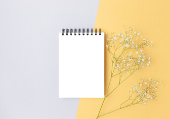 Open notepad mockup and gypsophila flower on a blue and gold background. Springtime creative...