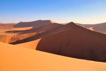 Fototapeta premium Dune 45 in Sossusvlei Namib Desert - Namib-Naukluft National Park, Namibia, Africa
