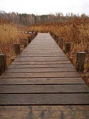 Fototapeta premium wooden bridge over the river