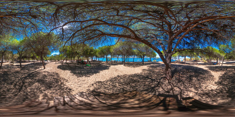 full seamless spherical panorama 360 degrees angle view trees island in Algarve equirectangular projection, VR content