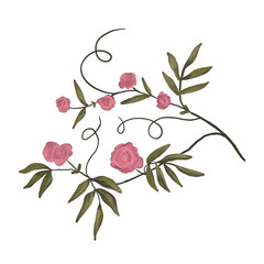 Branch with flowers hand drawn illustration isolated on white background. Floral element for wedding stationery design