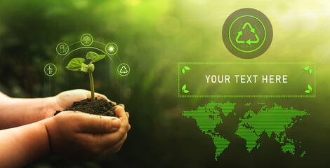 Education banner. Hands protecting green plant on sunny background with  icons energy sources for renewable. Environment and ecology concept. Sustainable development. 
