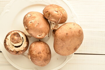 Several organic fresh, cream mushrooms on a ceramic dish, close-up, on a white wooden table.